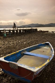 fish boat and wood bridge