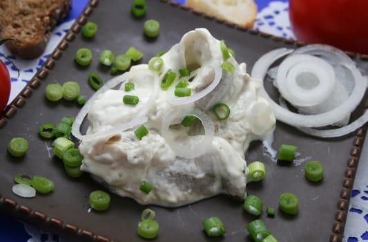 fresh fish with creamsauce