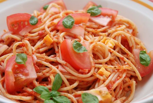 fresh pasta