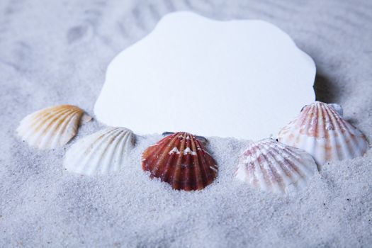 Holiday beach concept
