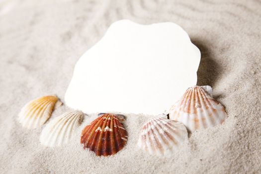 Holiday beach concept