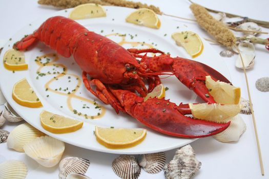 a meal of a lobster