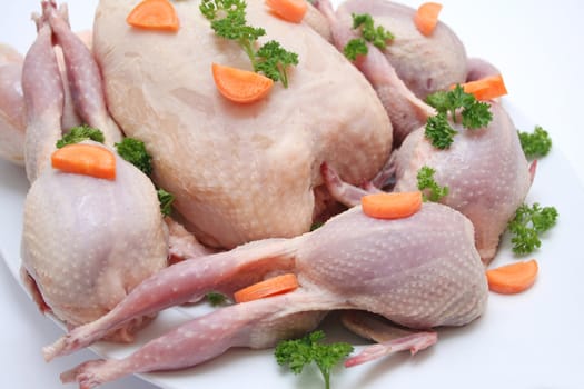 chicken and quails