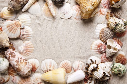 Holiday beach concept