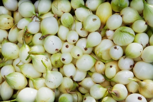 Pile of small white and gree boiling onions