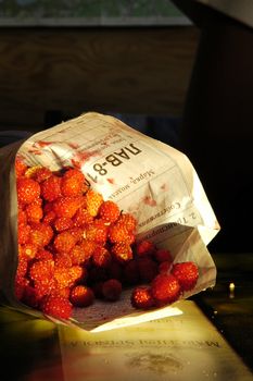 Fragaria vesca, commonly known as the Woodland Strawberry, occurs naturally throughout the Northern Hemisphere./The collected Woodland Strawberry.