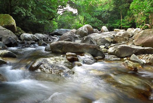 fresh stream in forest