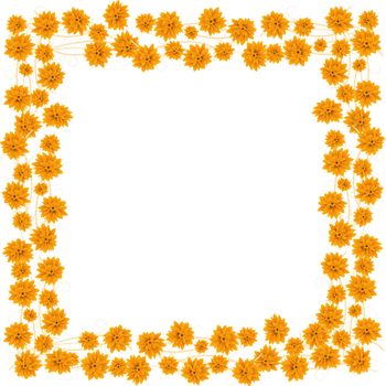 Orange roses border for your design