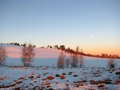 Glade; a meadow; a field; the sky