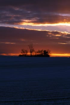 Tranquil landscape with trees during the sunset