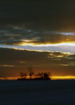 Tranquil landscape with trees during the sunset