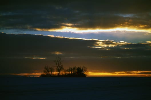 Tranquil landscape with trees during the sunset