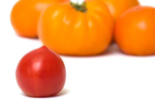 Red and yellow tomatoes on a white background.