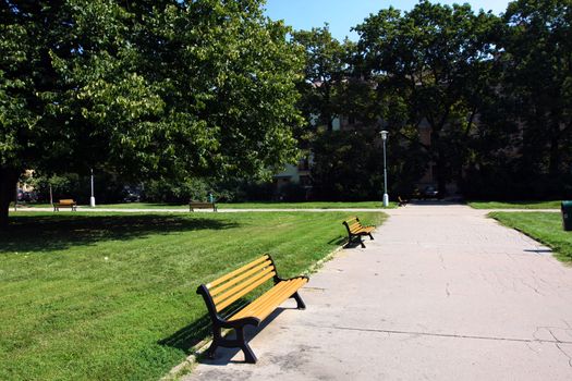 Bench and lamps in tranquil green city park