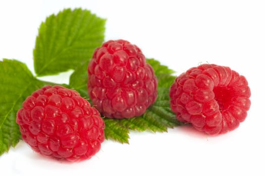 Raspberry fruits on white background
