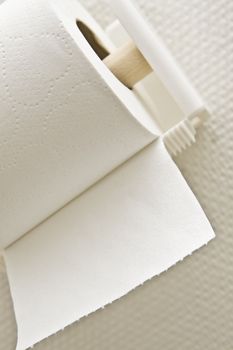 Toilet paper roll on holder