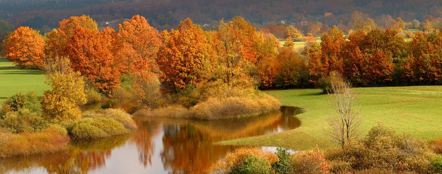 Autumn coloured trees with reflection in water