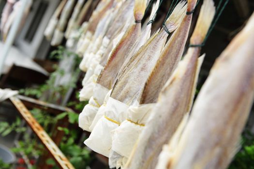 dried salt fish