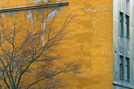 Corroded Wall with windows in back alley