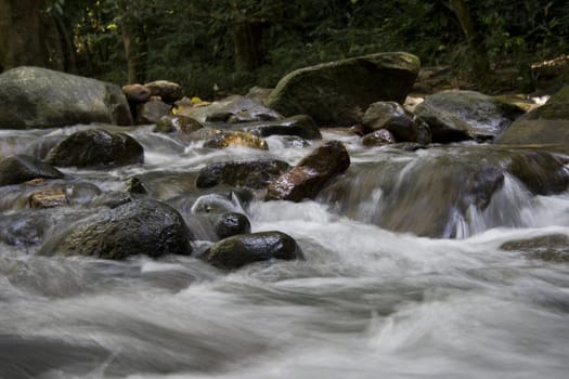 Rocky white water tropical river.