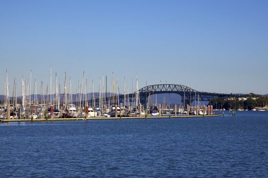 Auckland Harbour Bridge from Bayswater Marina.