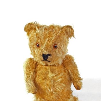 Close up of a Teddy Bear on a white background.