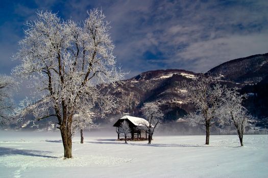 Winter landscape with old barn.