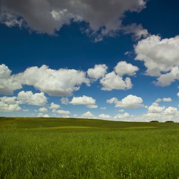 Beautiful green meadow with a great cloudy sky