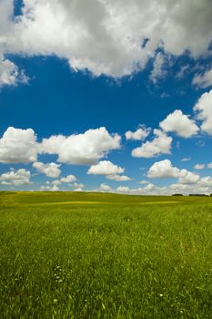 Beautiful green meadow with a great cloudy sky