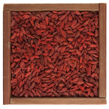 dried Tibetan goji berries (wolfberry) in a rustic wooden box isolated on white