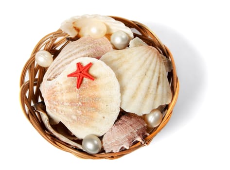 case with sea shells isolated over white