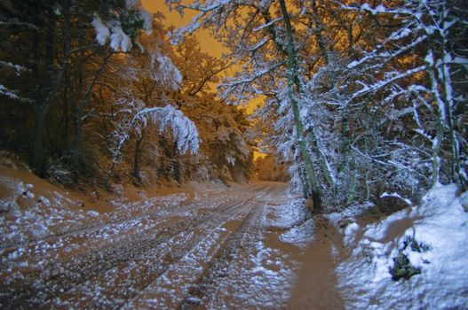 Night winter road with snow 