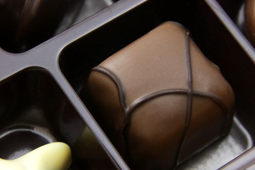 A closeup of a chocolate in a box of chocolate truffles.
