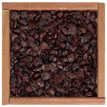 dried cranberries in square, rustic, wooden box or frame, isolated on white