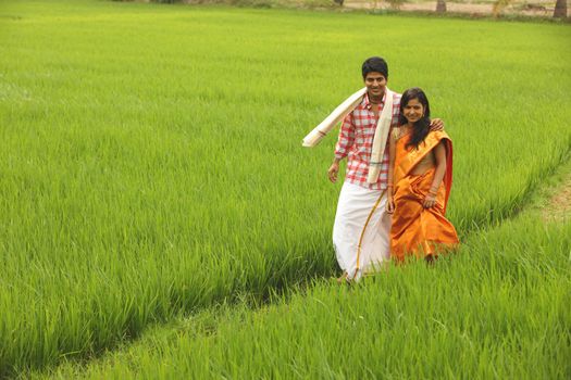 
A couple walking through a paddy field in india