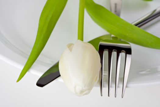 tulip,knife and fork on a white plate isolated