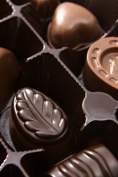 A closeup of a box of chocolate truffles.
