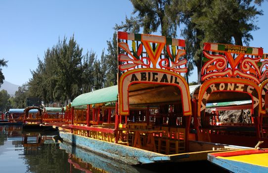 Floating garden on boat in Mexico city, Xochimilco