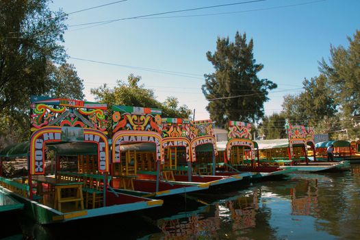 Floating garden on boat in Mexico city, Xochimilco