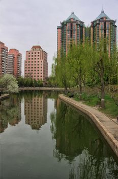 Reflection in the neighborhood park.