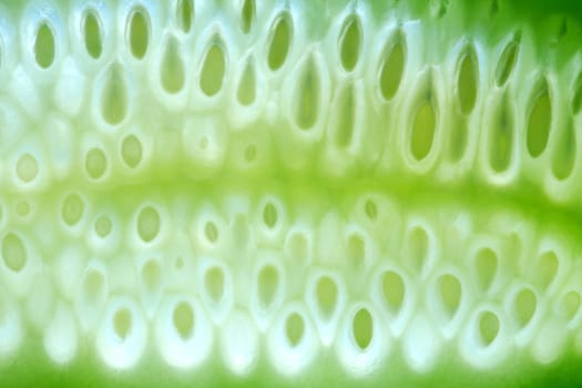 Green abstract background made from fresh sliced cucumber