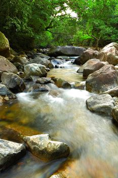 water spring in jungle