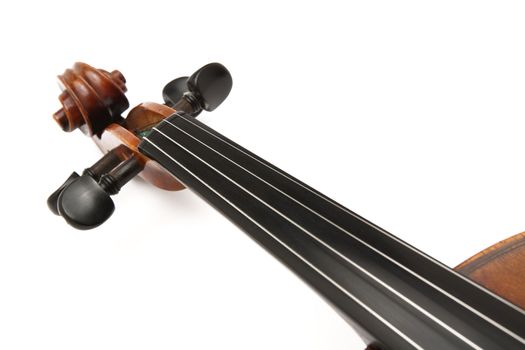 violin head