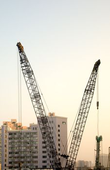 shanghai construction crane over modern buildings