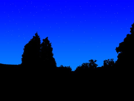 A silhouette of a tree and vegetation at night.
