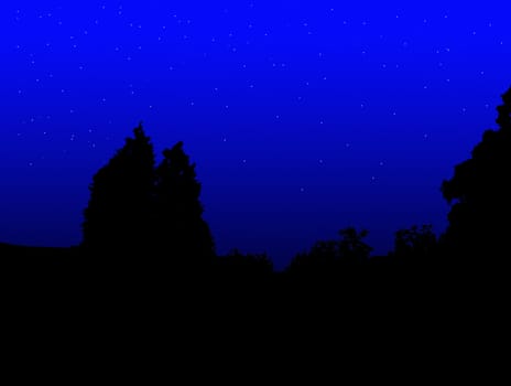 A silhouette of a tree and vegetation at night.

