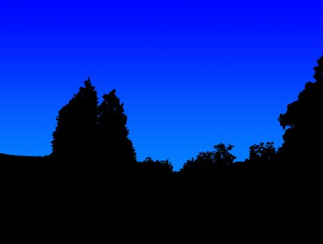A silhouette of a tree and vegetation at night.
