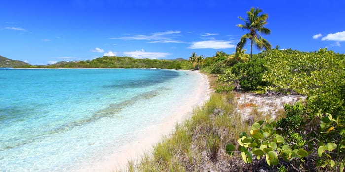 Vegetation grows on Beef Island in the British Virgin Islands.