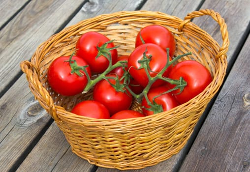 Photograph of ecological tomatoes placed in a wooden basket