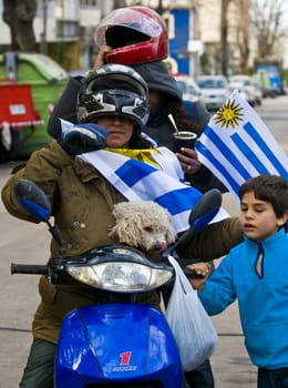 Montevideo - June 26 2010: Urugayan funs celebrating the first quarterfinals in 40 years after beating South Korea on 2010 world cup